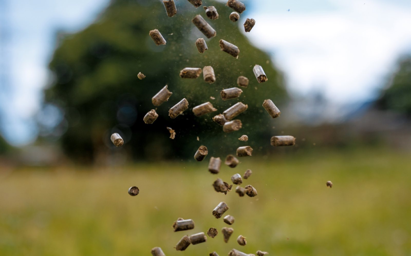Grass pellets falling against a green meadow