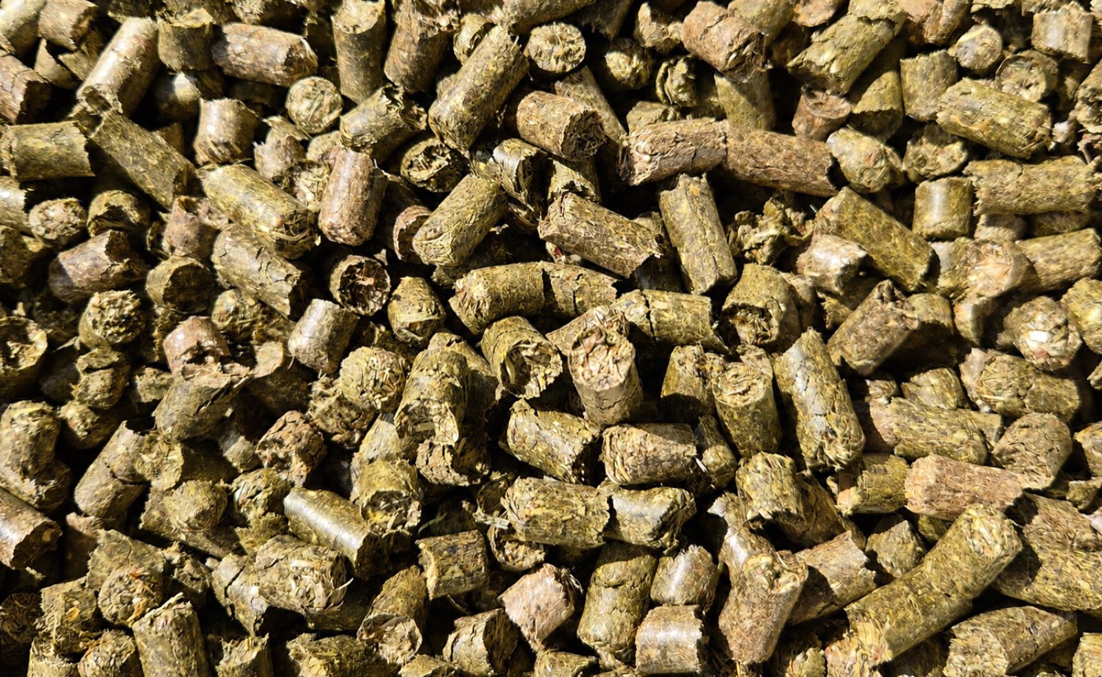 Close-up of grass biomass bedding pellets