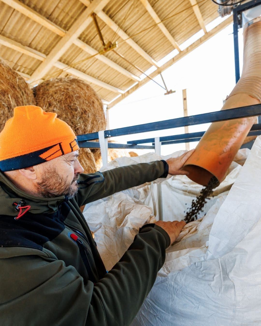 Fresh grass pellets pouring from the production line chute into a BigBag